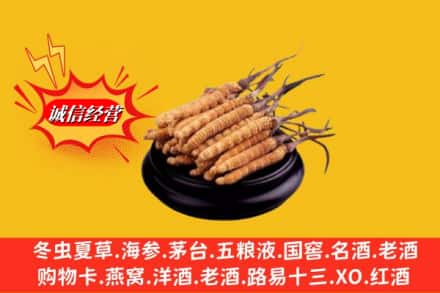 扶绥县求购回收虫草多少钱每克